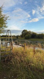 The Ballyforan Cottage - 5