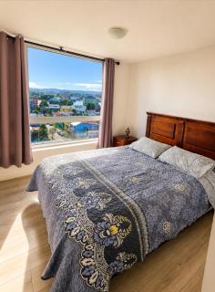 Centro de Valdivia - 7