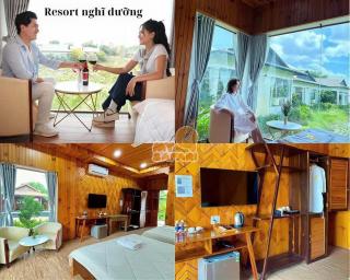 Mỹ Quỳnh Safari Resort - 6