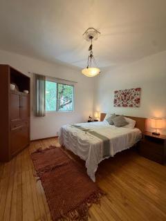 Bright apartment in the heart of La Condesa - 4