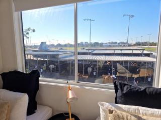"Redcliffe Townhouse, King Bed, Horses Next Door, Short Walk to Beach" - 4