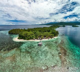 Dayan Dive Homestay Raja Ampat - 4