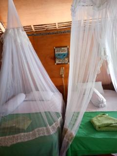 Dayan Dive Homestay Raja Ampat - 2