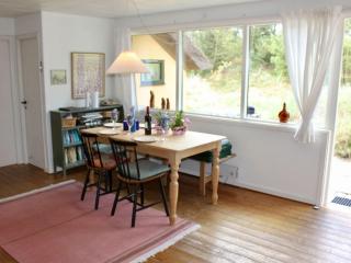 Reetdachhaus-auf-traumhaftem-Duenengrundstueck-mit-Kamin-und-Terrassen-C060 - 5