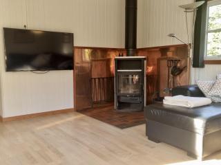 Helles-Ferienhaus-mit-Kamin-grossem-Grundstueck-und-zwei-Terrassen - 6