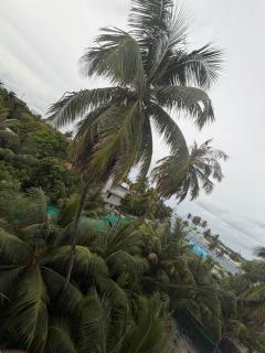Moodhu Residence - 1