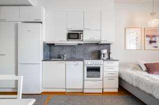 Arctic Top Floor Studio, Parking By Lapland Host - 8