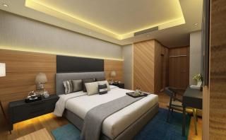 Hotel kalyan near by Delhi igi airport free Pickup - 2