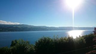 Mansion at the lake, Pool, Sauna and Boat - 7