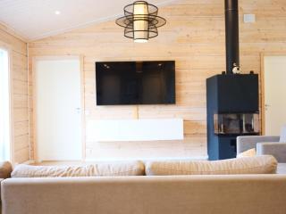 Modern Log Home in Rovaniemi - 1