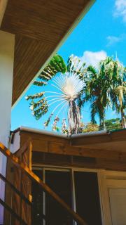 Jungle Oasis - Private with WiFi, AC, Big Garden - 2