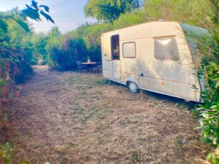 Escale Nature Lot - simple and authentic room - 4