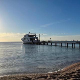 Come2Sharm at 5 Star Resort with direct Beach Access - 1