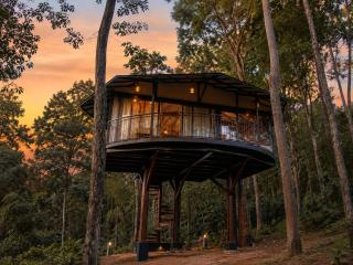 Pugmarks Jungle Resort - 9