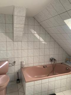 Ferienwohnung Geiseltalsee Frankleben - 4