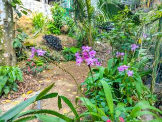 The Nest, Kandy - 2