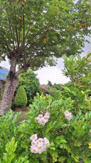 บ้านสวนครูเย็น - 2