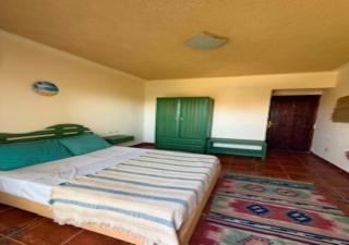 Luxury Chalet - La Hacienda - Ras Sedr - 2