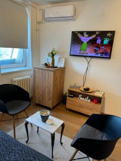 Scandinavian Studio Belgrade Center - 4