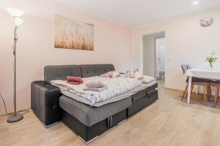 Apartma VRTNICA - 7