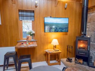 Wildcat Lodge- hot tub and pet friendly - 4