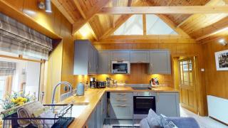 Wildcat Lodge- hot tub and pet friendly - 1