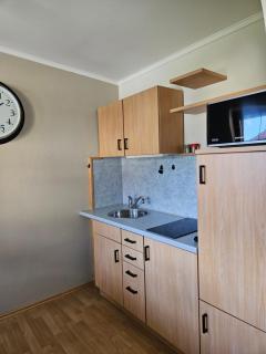 Maltatal Apartments - 2