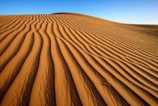 SUN-DUNE Luxury Camp - 4