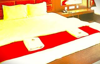 The Araniko Hotel - 7