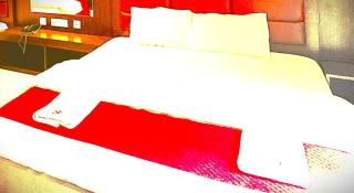 The Araniko Hotel - 6