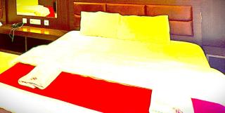 The Araniko Hotel - 1