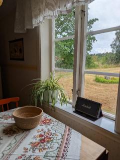Lillebogård - 5