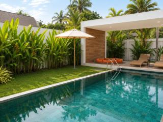 Modern Tropical Villa 2 BR with Pool & Jacuzzi - Cocoon1 34-12 - 1