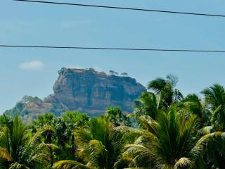 Sigiri Nethu Home Stay - 9