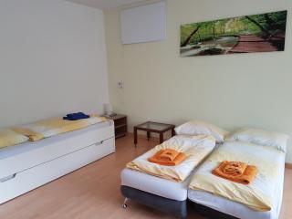 Ferienwohnung Pichlarn - Aigen im Ennstal - 3