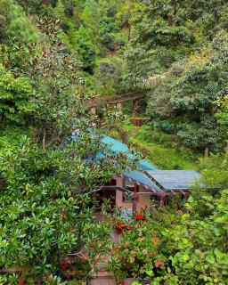 Himalaica Nainital - 9