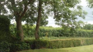 Nick & Sandra's - Slane - 8
