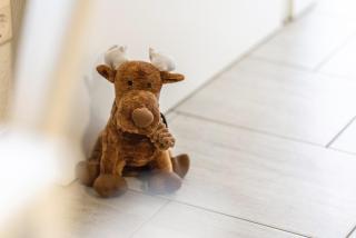 Einliegerwohnung auf Reitanlage - 6