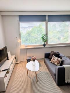 Cozy studio in Kemi City - 7