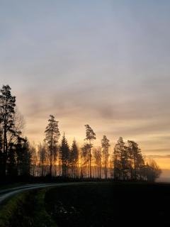Tiny house Lugnet - forest and microfarm stay - 3