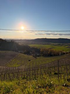 Liber Barbaresco House - 4