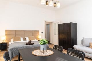 Comfertable 1BR Apartment very Central In Vienna - 9