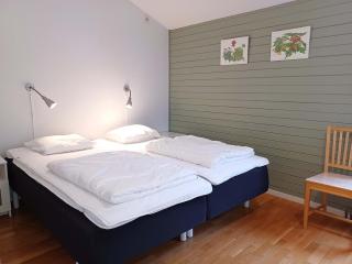 2BR Flat for 6 in Hummeln Walk to Slopes - 9
