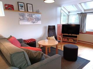 2BR Flat for 6 in Hummeln Walk to Slopes - 4