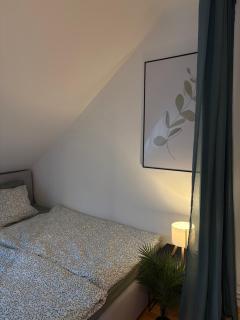 Penthouse Schlossberg View - 4