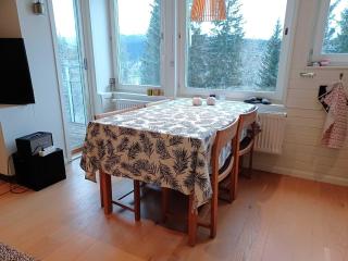 Family Flat in Hummeln Walk to Town & Lifts - 3