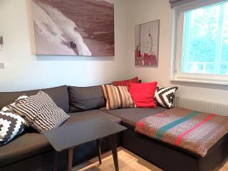 Family Flat in Hummeln Walk to Town & Lifts - 2