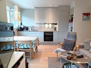 Family Flat in Hummeln Walk to Town & Lifts - 1