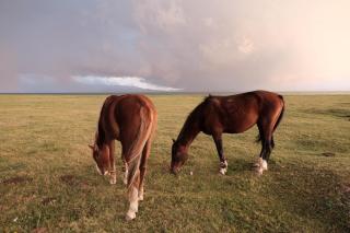 Overnight Stay & Guided Horseback Tour to Song-Kul Lake - 7