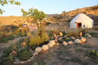 Eco Farm Manjyly Ata - 4